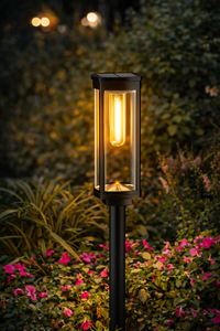 Warm light